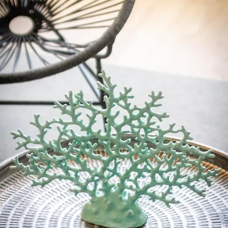 Apartmán Banus - Marysol Seaside Flat C Marbella